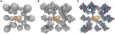 Modeling Crowded Environment in Molecular Simulations